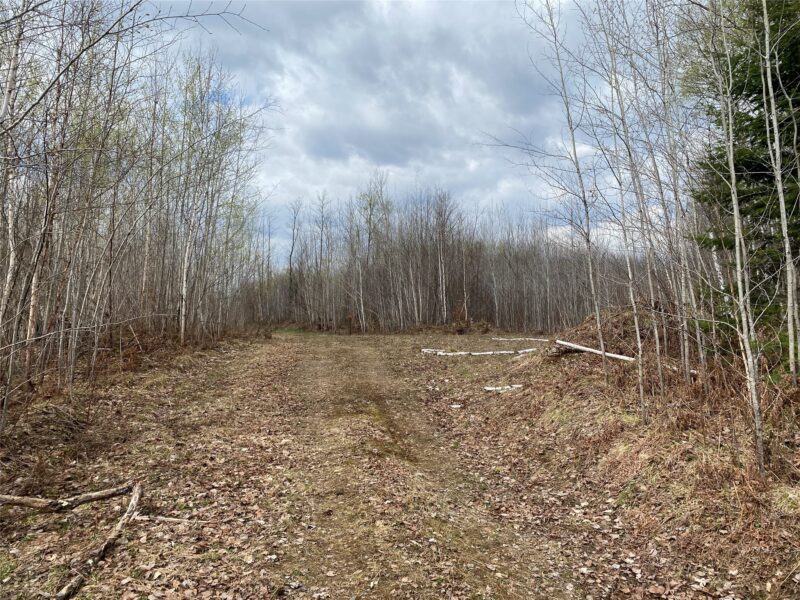 Near Wilson Lake Road