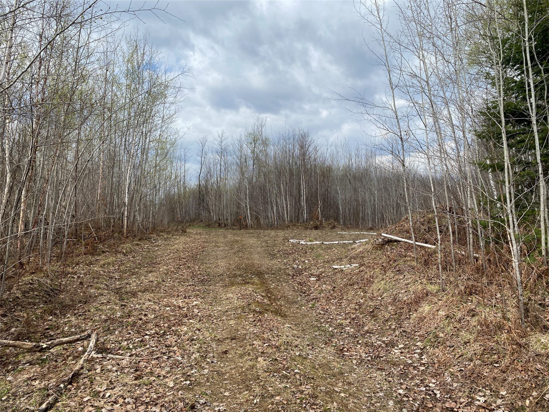 Near Wilson Lake Road Phillips WI 54555