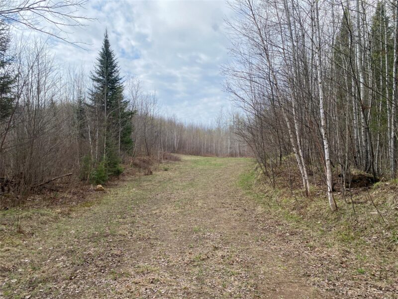 Near Wilson Lake Road