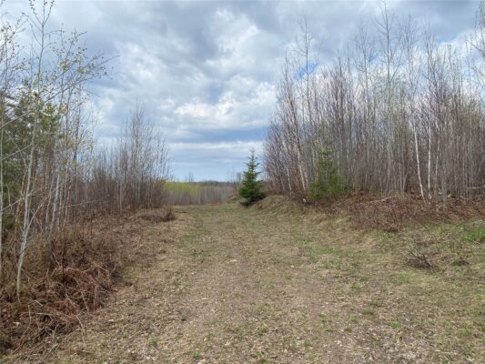 Near Wilson Lake Road Phillips WI 54555 — photo 1