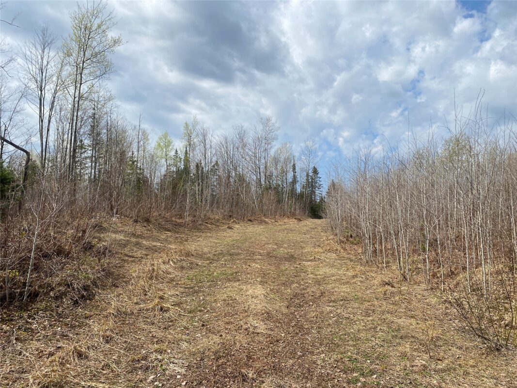 Near Wilson Lake Road Phillips WI 54555 — photo 2