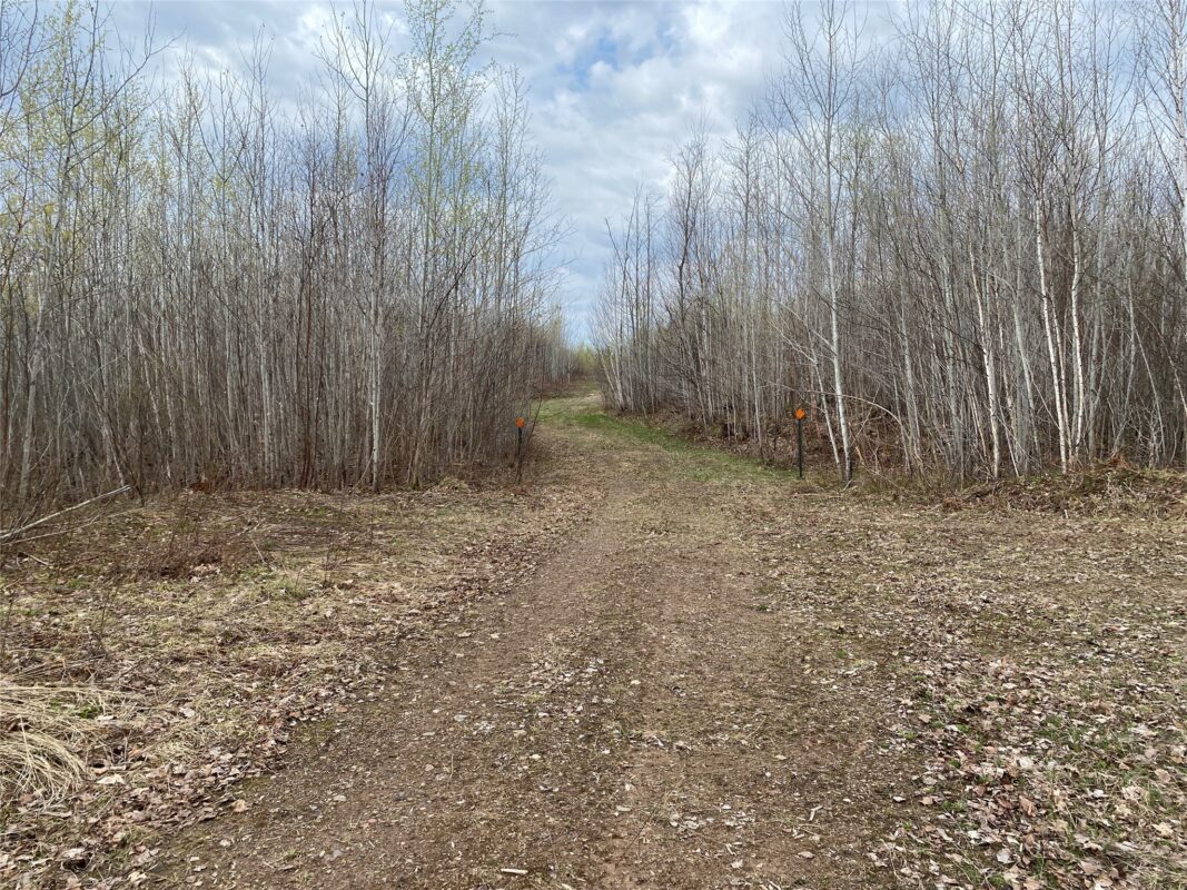 Near Wilson Lake Road Phillips WI 54555 — photo 2