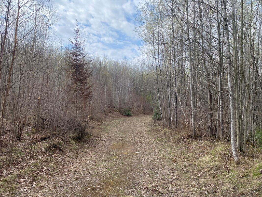 Near Wilson Lake Road Phillips WI 54555 — photo 2
