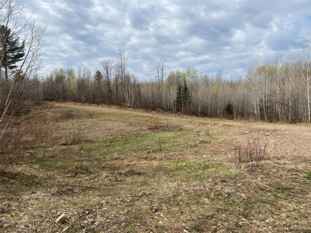 Near Wilson Lake Road Phillips WI 54555 — photo 3