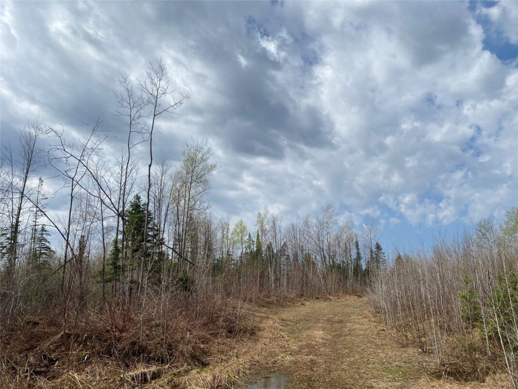 Near Wilson Lake Road Phillips WI 54555 — photo 5
