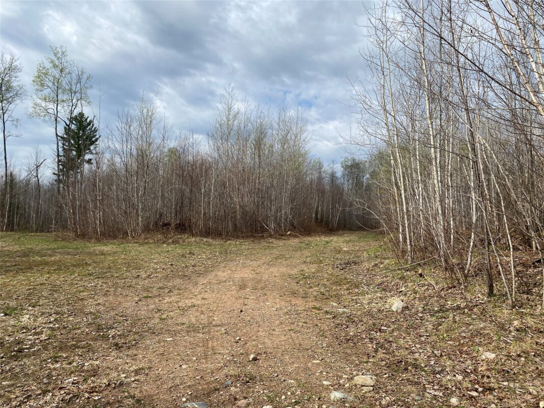 Near Wilson Lake Road Phillips WI 54555 — photo 5