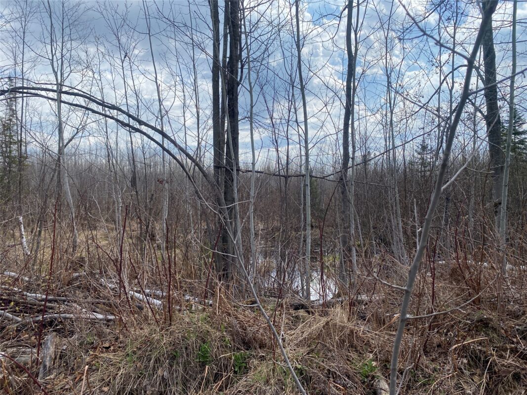 Near Wilson Lake Road Phillips WI 54555 — photo 6