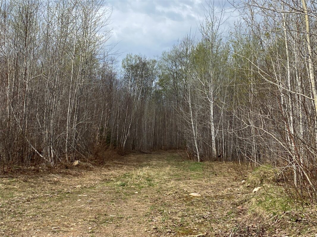 Near Wilson Lake Road Phillips WI 54555 — photo 6