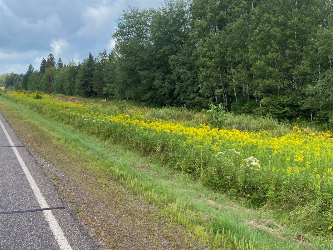 On County Highway E Park Falls WI 54552 — photo 2