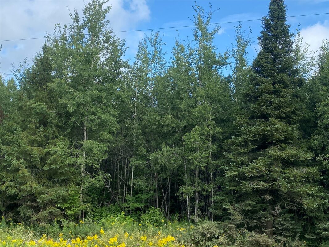 On County Highway E Park Falls WI 54552 — photo 3