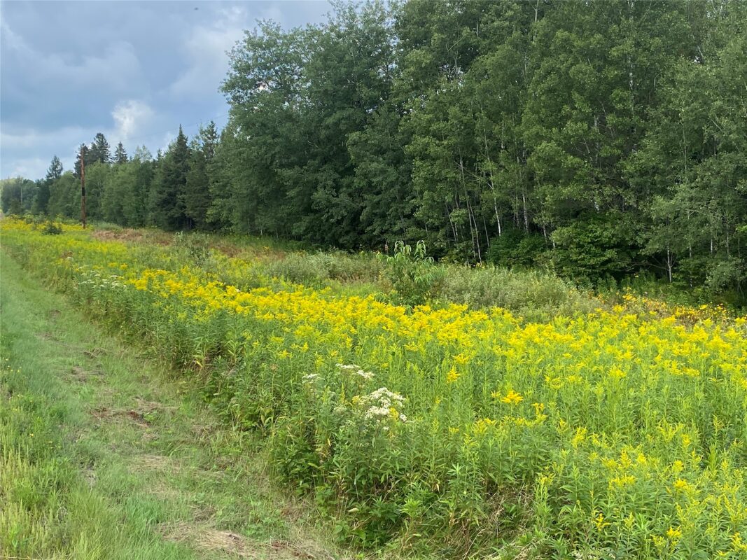 On County Highway E Park Falls WI 54552 — photo 4