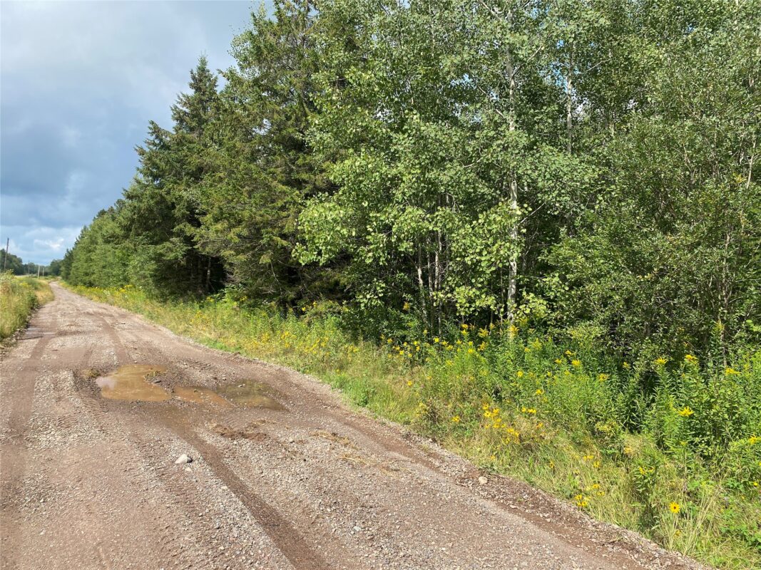 On County Highway E Park Falls WI 54552 — photo 5