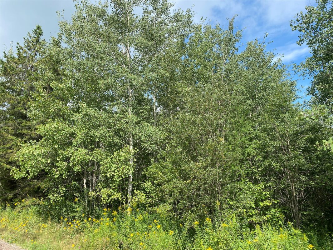 On County Highway E Park Falls WI 54552 — photo 6