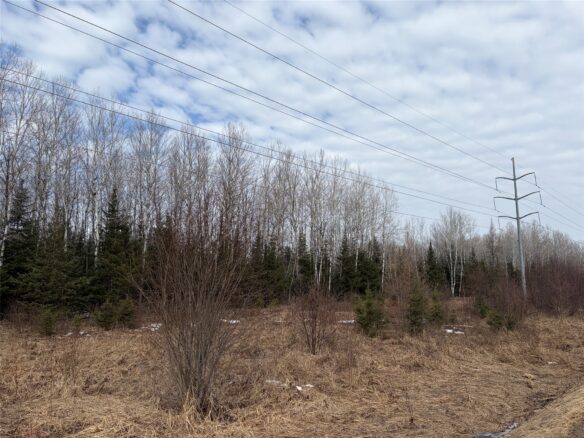 ON CTH F Park Falls WI 54552 — photo 1