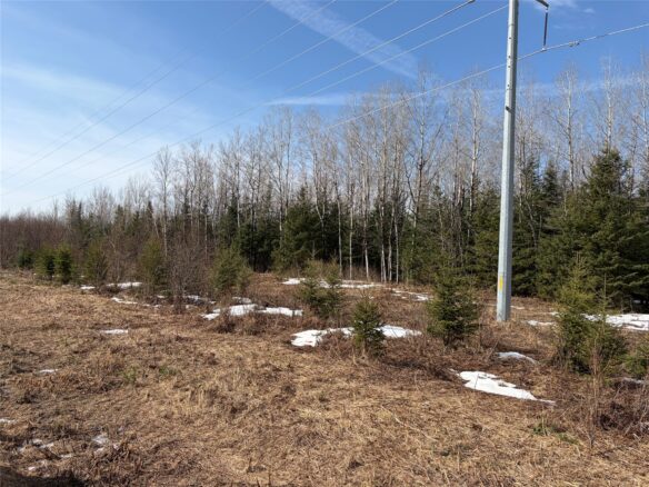 ON CTH F Park Falls WI 54552 — photo 1