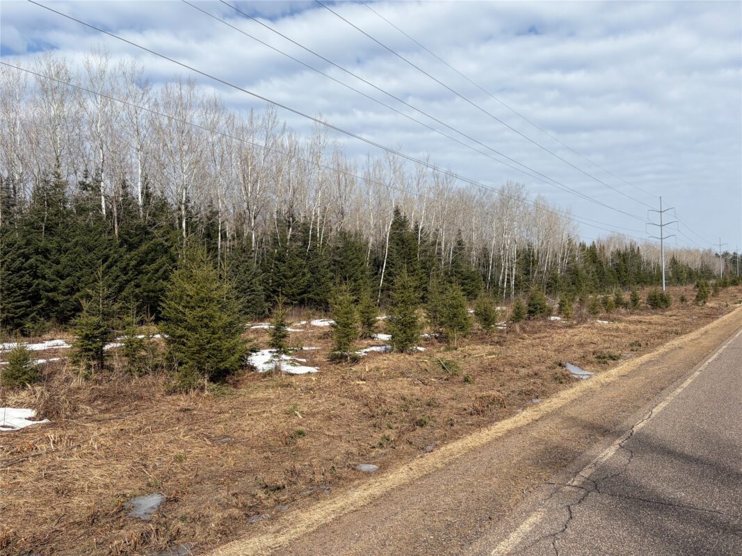 ON CTH F Park Falls WI 54552 — photo 2