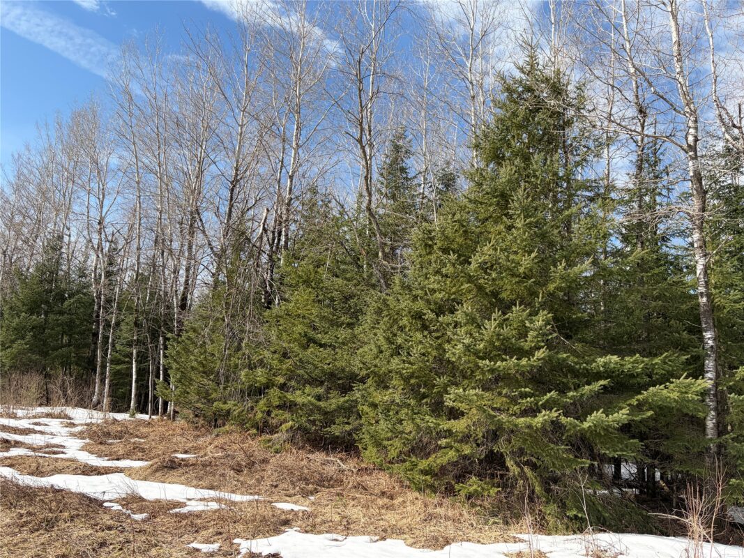 ON CTH F Park Falls WI 54552 — photo 3
