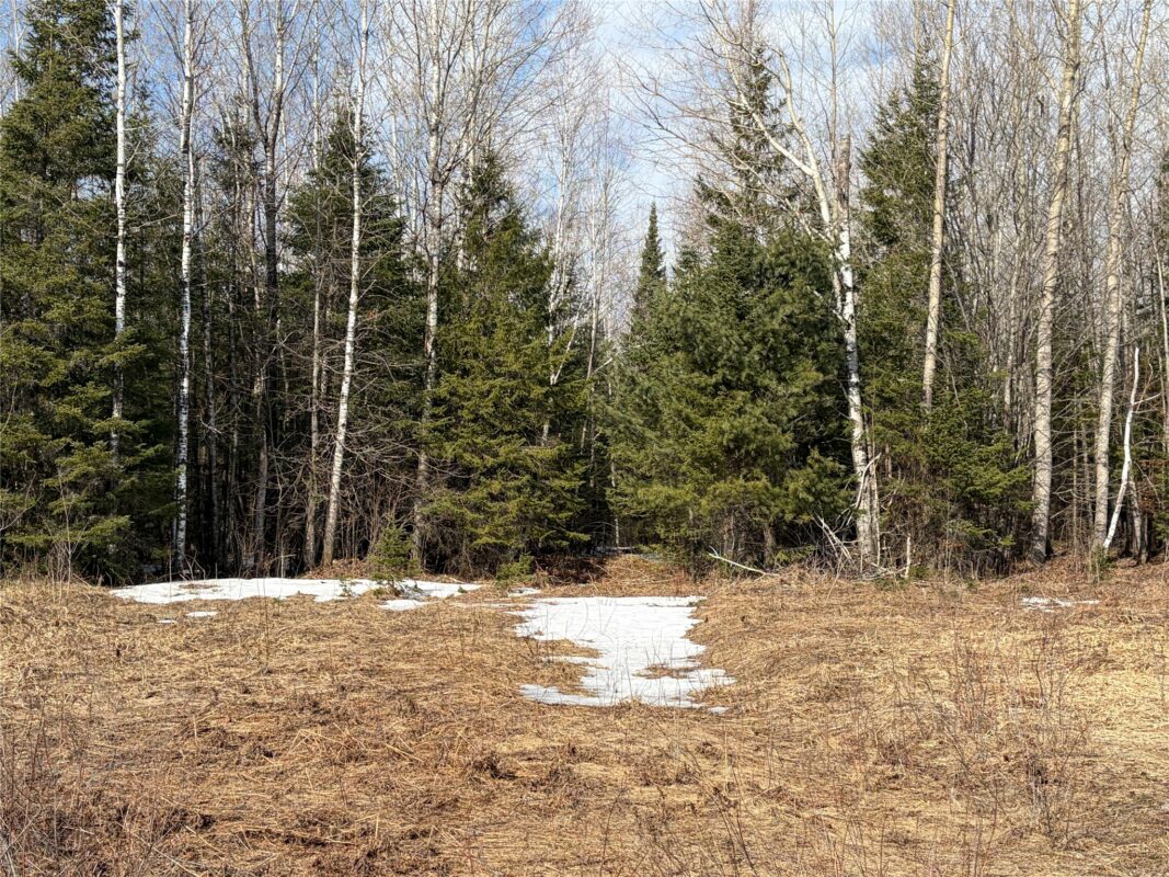On CTH F Park Falls WI 54552 — photo 3