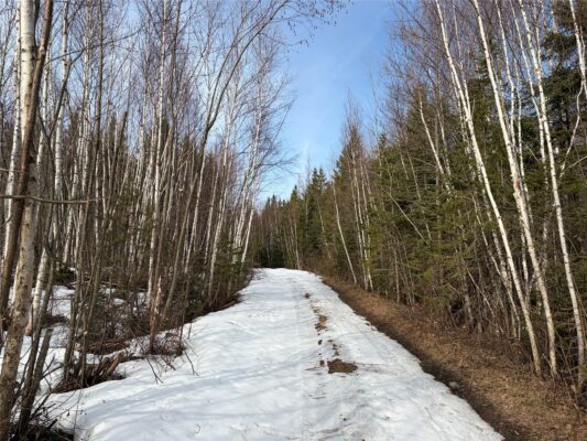 ON CTH GG Winter WI 54896 — photo 1