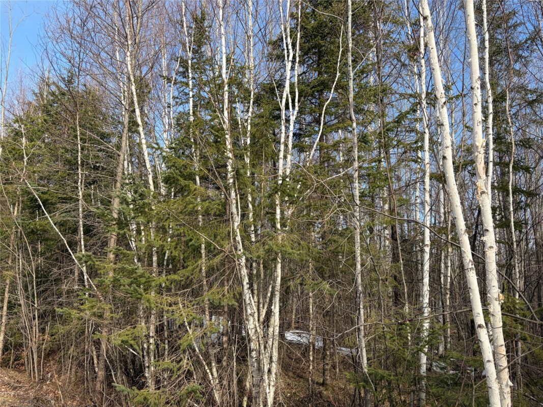 ON CTH GG Winter WI 54896 — photo 2
