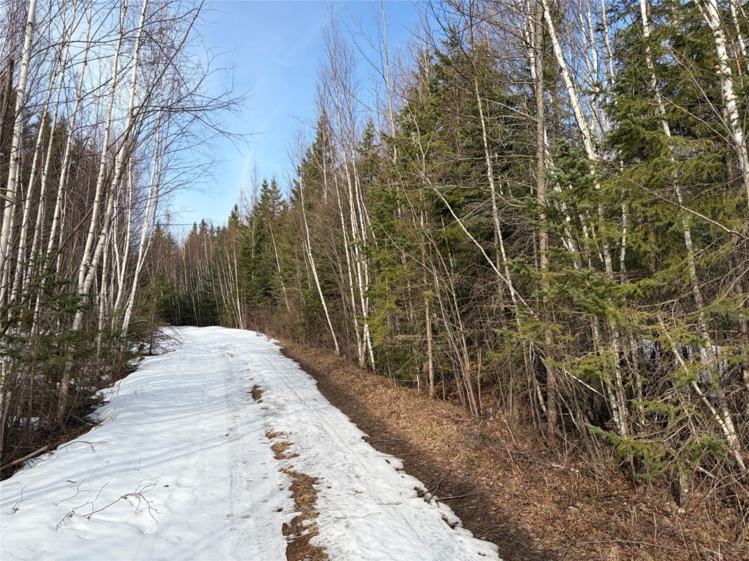ON CTH GG Winter WI 54896 — photo 3