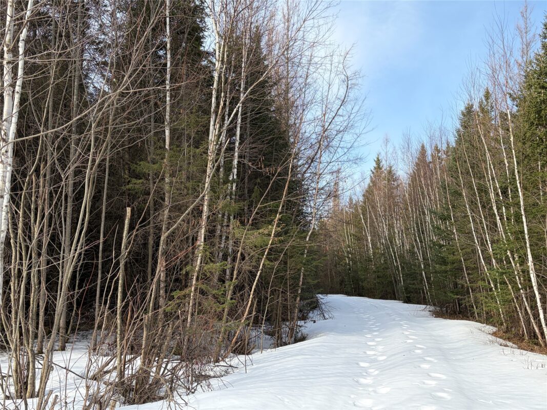 ON CTH GG Winter WI 54896 — photo 5