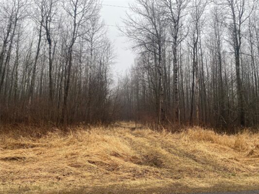 ON CTH I Ogema WI 54459 — photo 1