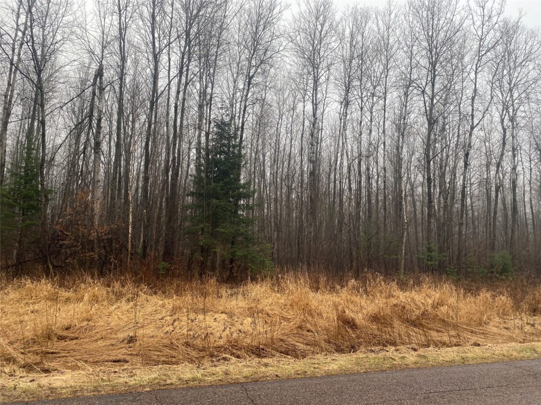 ON CTH I Ogema WI 54459 — photo 3