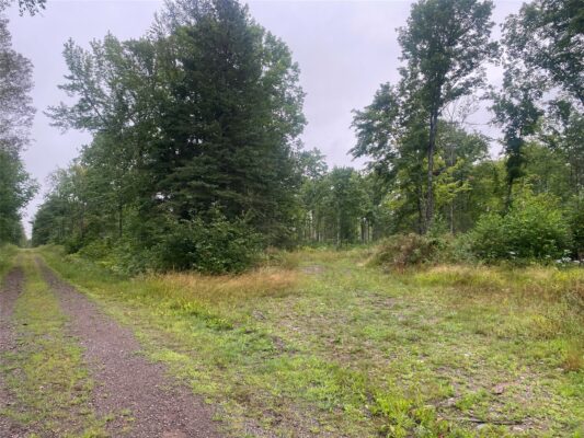 On Doland Road Loretta WI 54896 — photo 1