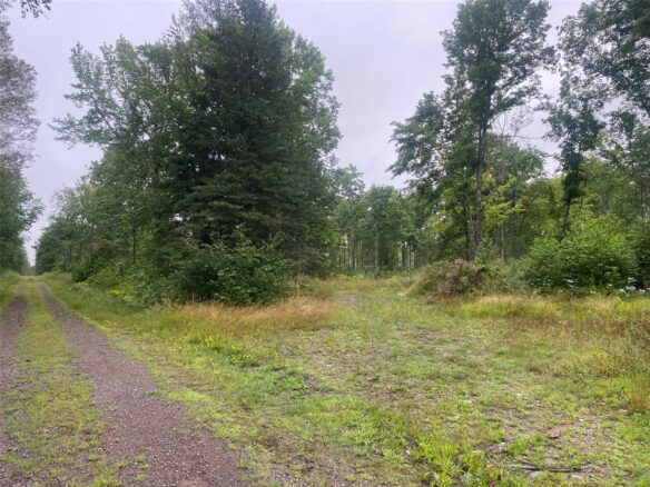On Doland Road Loretta WI 54896 — photo 1