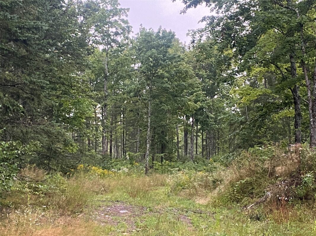 On Doland Road Loretta WI 54896 — photo 2