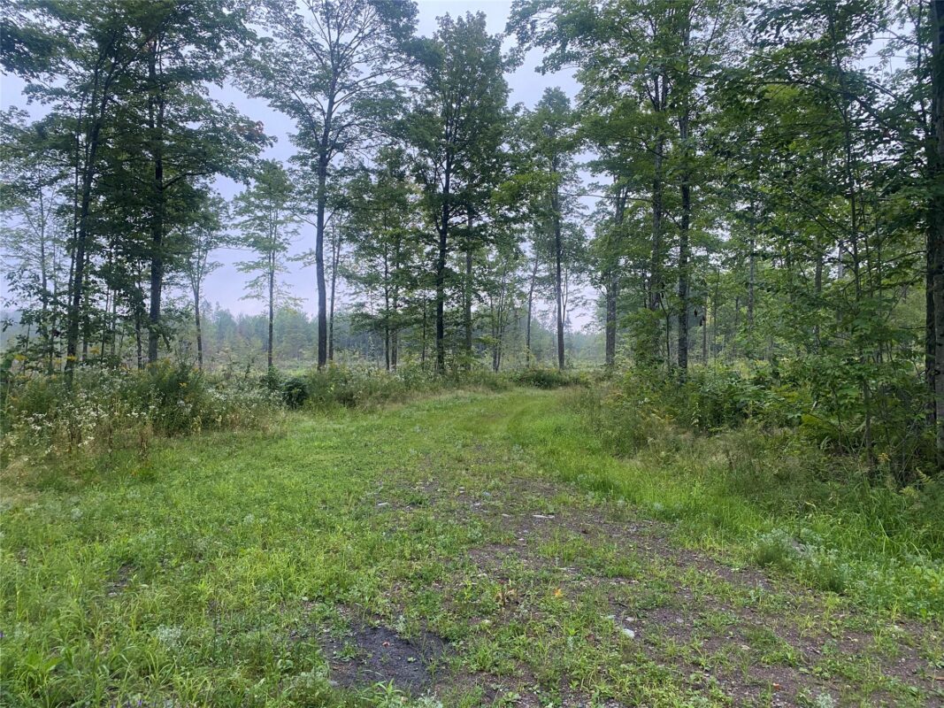 On Doland Road Loretta WI 54896 — photo 5