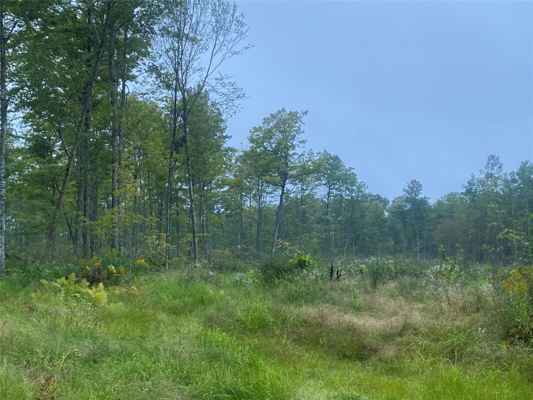 On Doland Road Loretta WI 54896 — photo 8