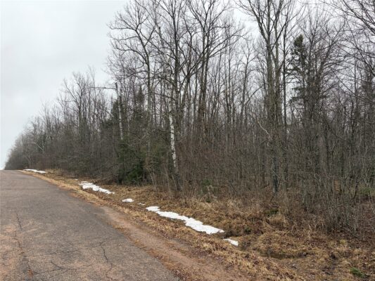 ON N Hofer Road Couderay WI 54828 — photo 1