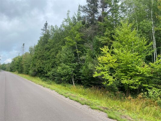 ON Maple Ridge Road Park Falls WI 54552 — photo 1