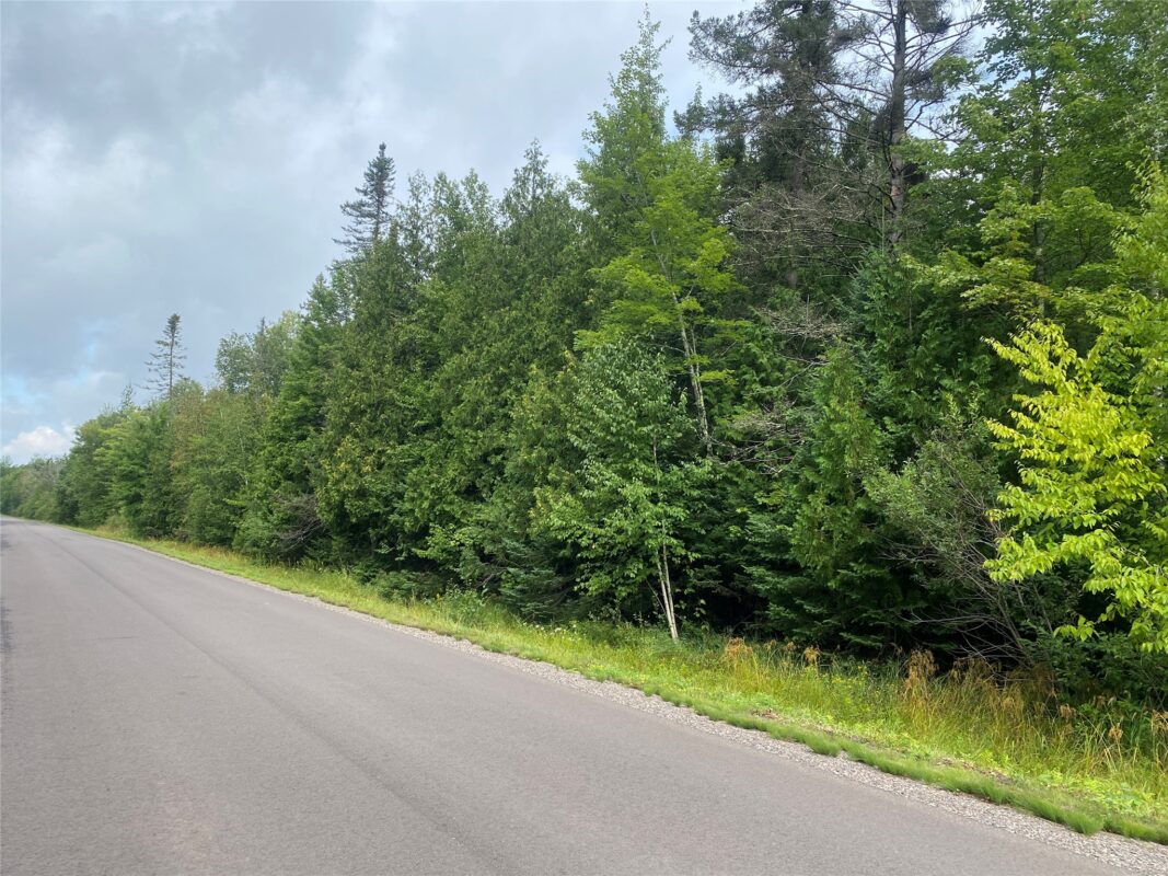 ON Maple Ridge Road Park Falls WI 54552 — photo 3