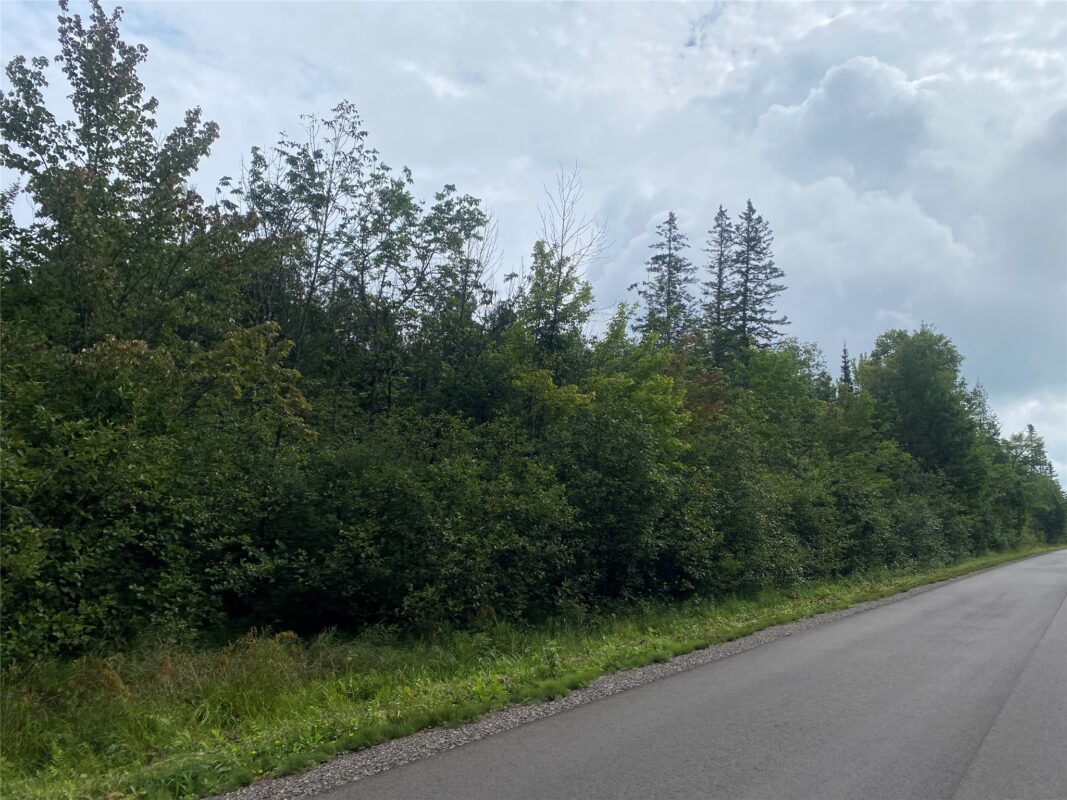 ON Maple Ridge Road Park Falls WI 54552 — photo 4