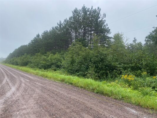 On Old 14 Road Bruce WI 54819 — photo 1