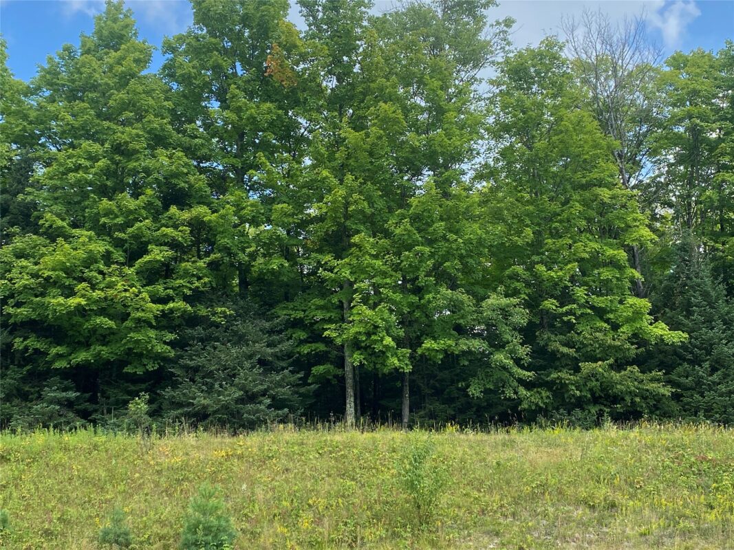 On Pixley Shores Road Fifield WI 54524 — photo 10