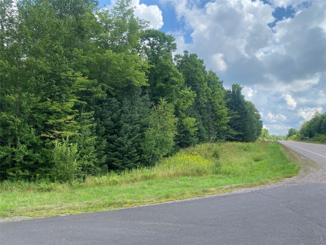 On Pixley Shores Road Fifield WI 54524 — photo 2