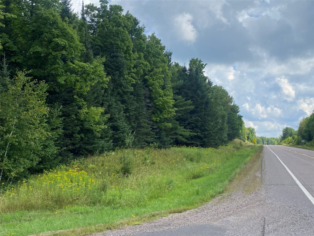 On Pixley Shores Road Fifield WI 54524 — photo 3