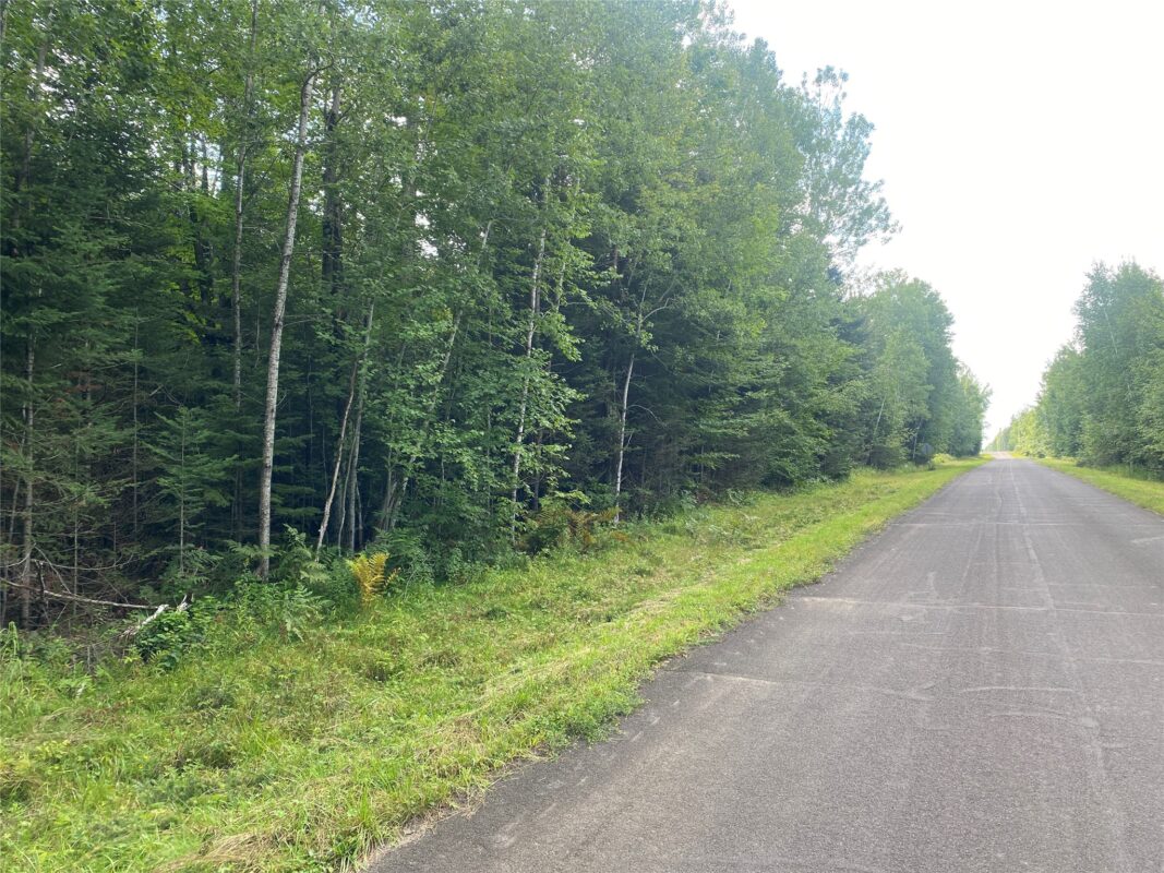On Pixley Shores Road Fifield WI 54524 — photo 5