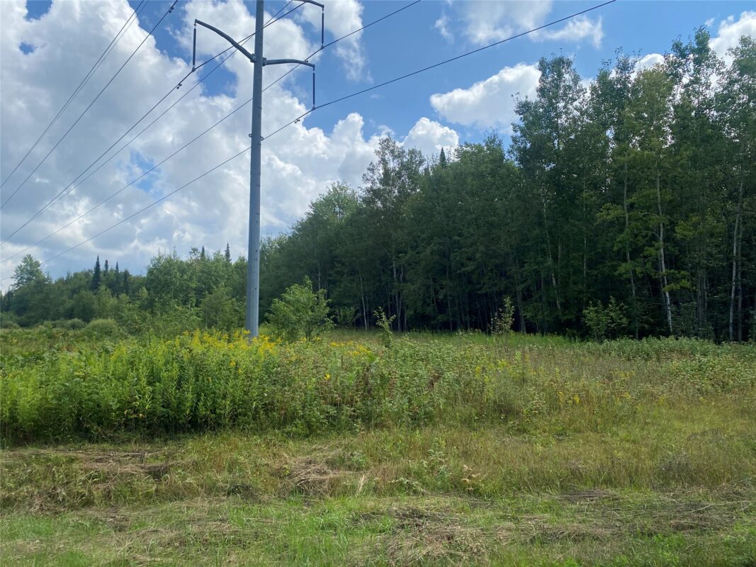 On Pixley Shores Road Fifield WI 54524 — photo 6