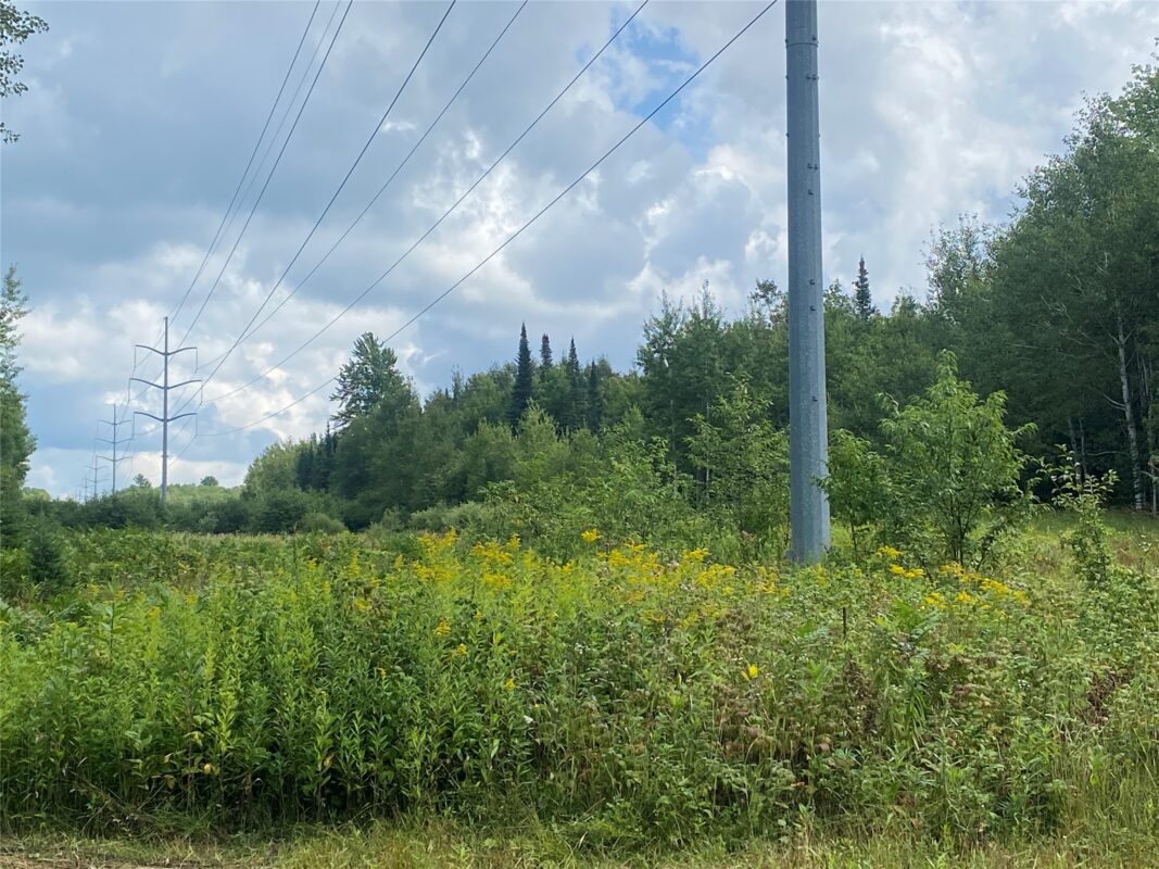 On Pixley Shores Road Fifield WI 54524 — photo 7