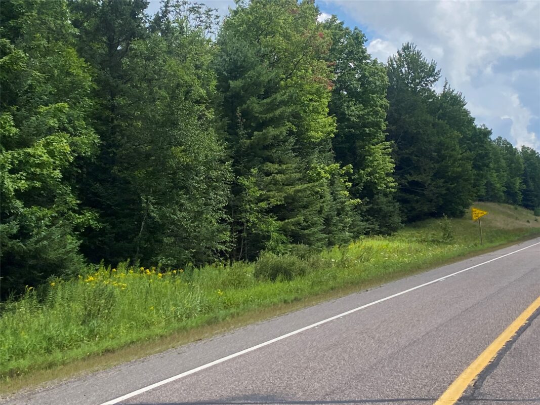 On Pixley Shores Road Fifield WI 54524 — photo 8
