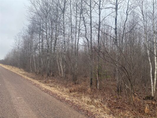 ON Shauger Road Ogema WI 54459 — photo 1