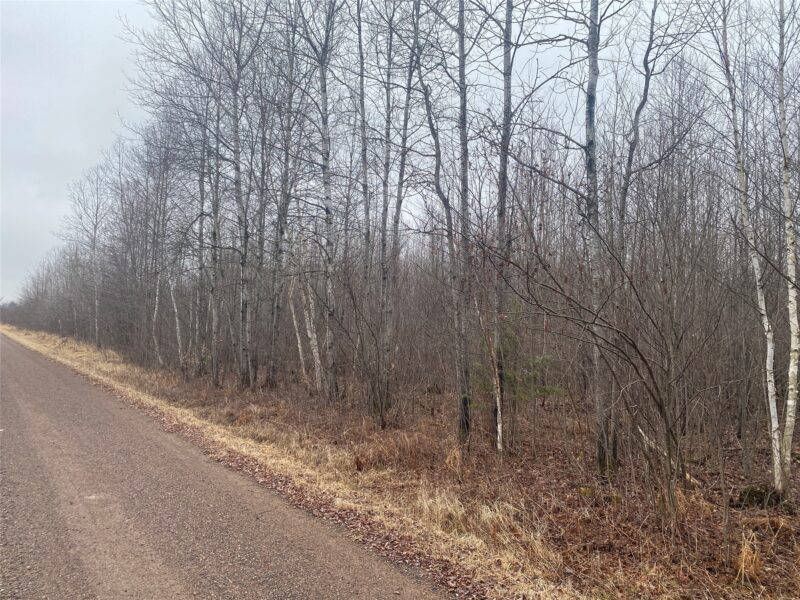 ON Shauger Road
