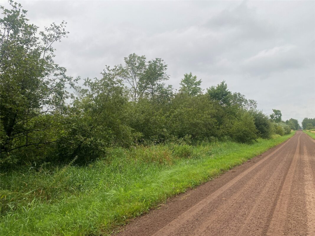 On Shauger Road Ogema WI 54459 — photo 5