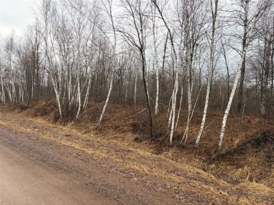 ON Sheep Camp Road Ladysmith WI 54848 — photo 1