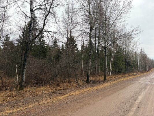 ON Sheep Camp Road Ladysmith WI 54848 — photo 1